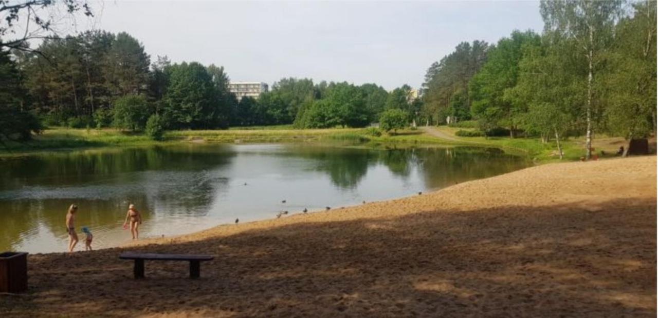 Garden Studio By The Lake With Air-Con And Infrasauna Druskininkai Dış mekan fotoğraf