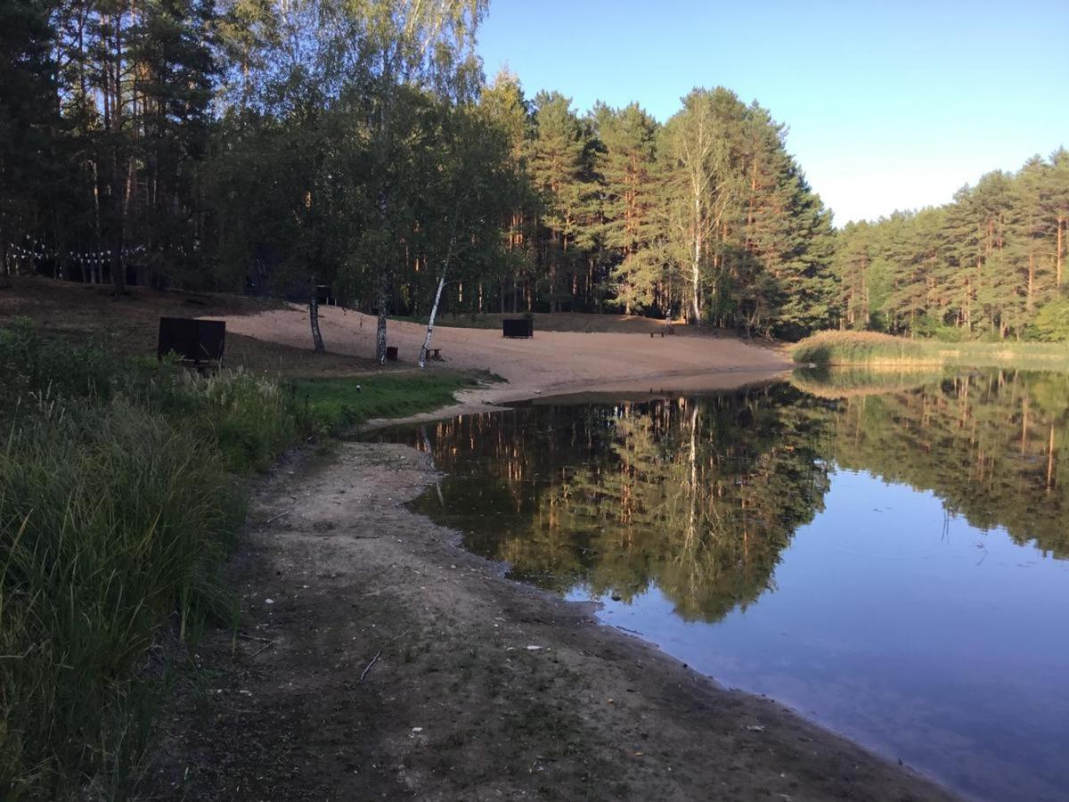 Garden Studio By The Lake With Air-Con And Infrasauna Druskininkai Dış mekan fotoğraf
